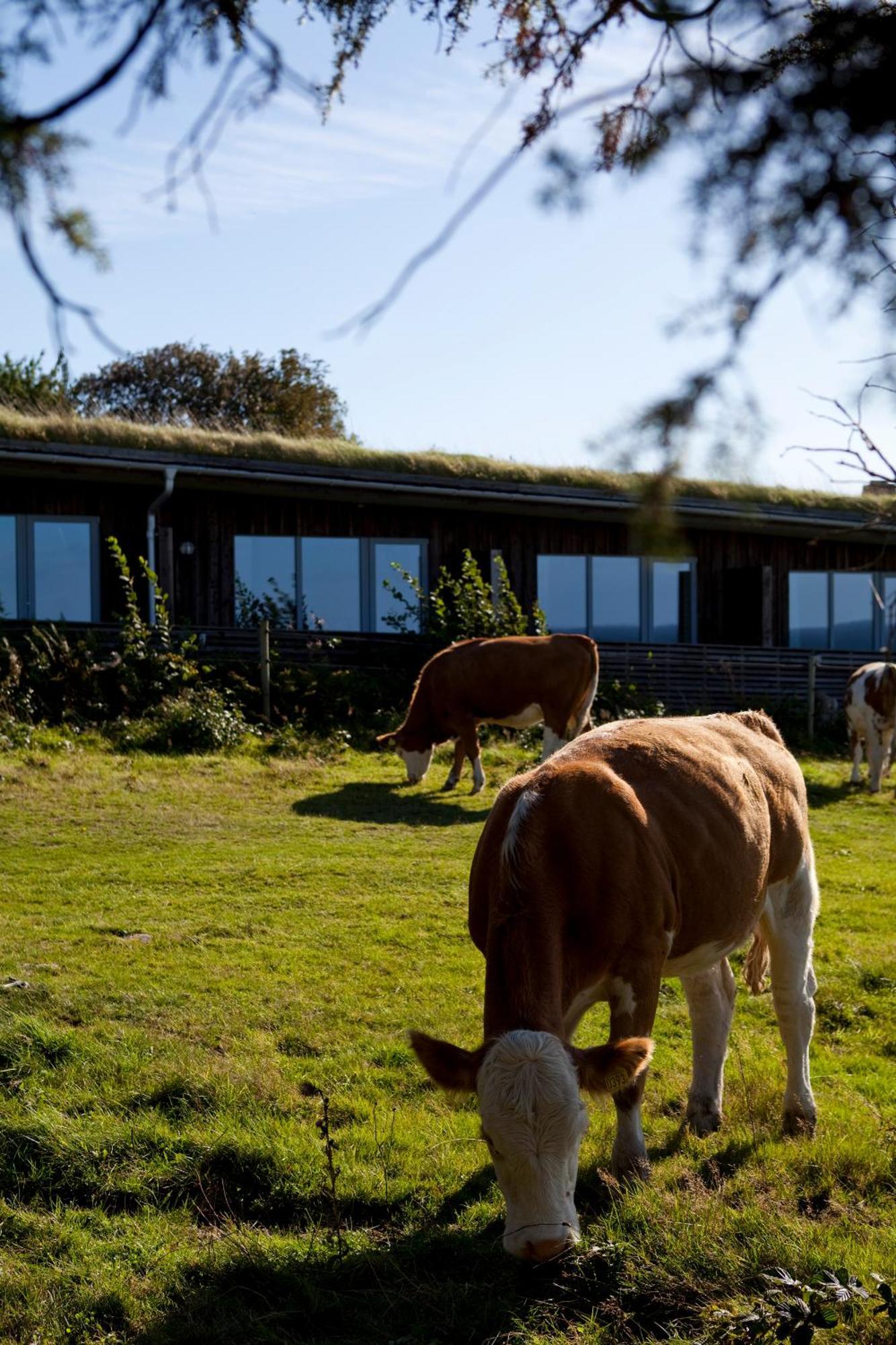 Hotell Och Restaurang Hovs Hallar Båstad Buitenkant foto